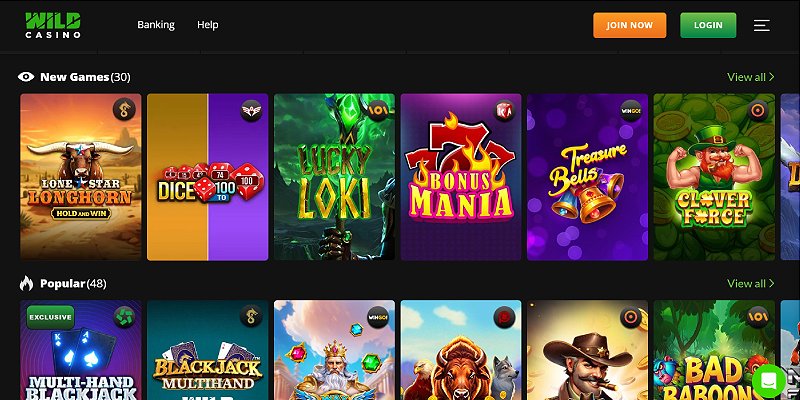 Wild Casino platform screenshot